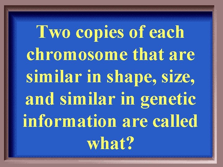 Two copies of each chromosome that are similar in shape, size, and similar in