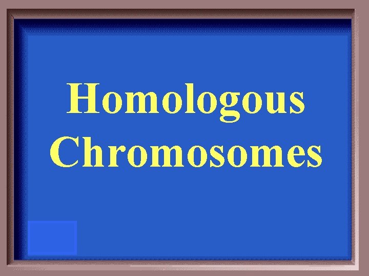 Homologous Chromosomes 