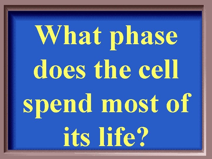 What phase does the cell spend most of its life? 