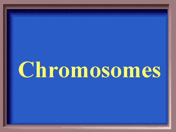 Chromosomes 