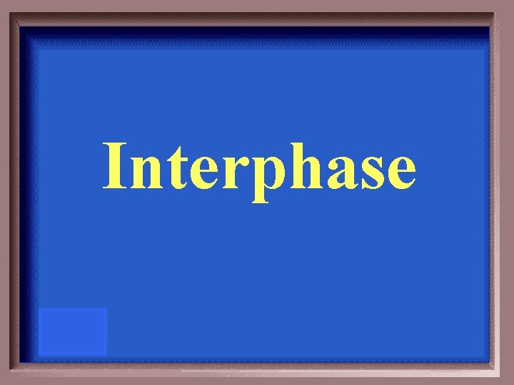 Interphase 