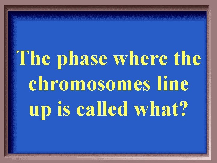 The phase where the chromosomes line up is called what? 