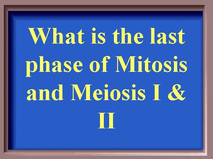 What is the last phase of Mitosis and Meiosis I & II 