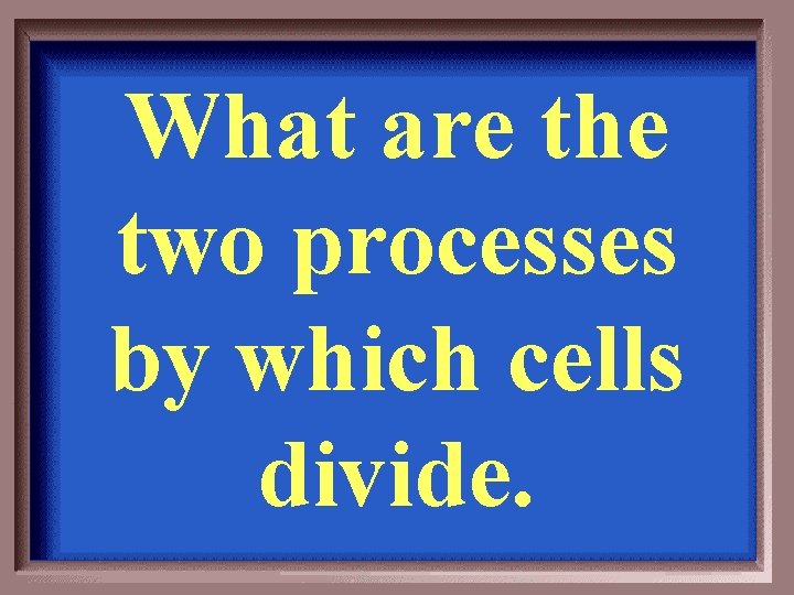 What are the two processes by which cells divide. 