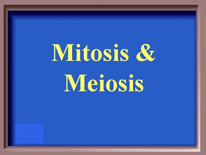 Mitosis & Meiosis 