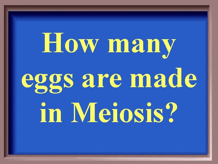 How many eggs are made in Meiosis? 