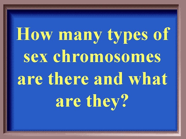 How many types of sex chromosomes are there and what are they? 