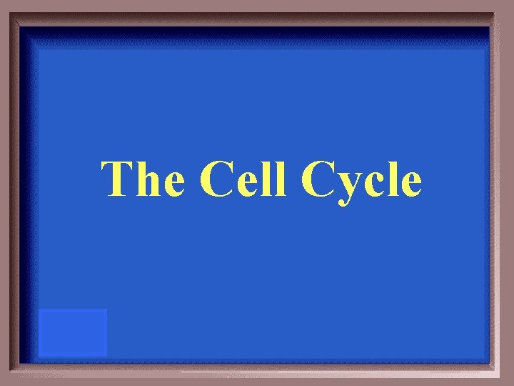 The Cell Cycle 