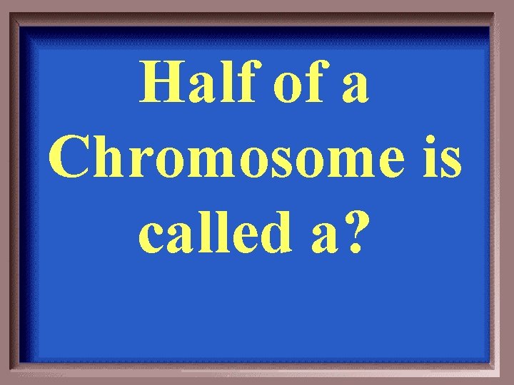 Half of a Chromosome is called a? 