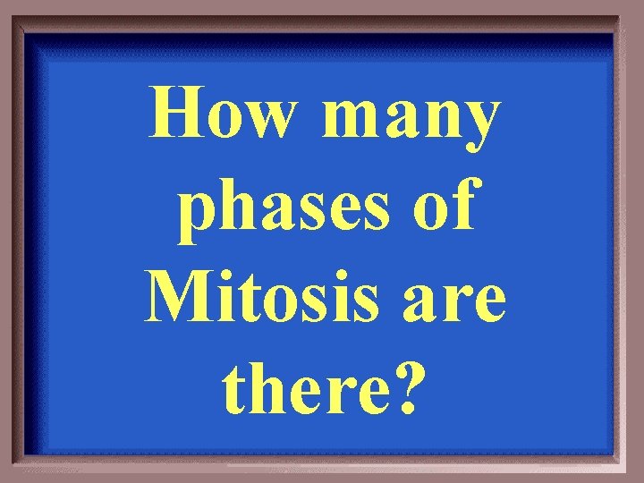 How many phases of Mitosis are there? 