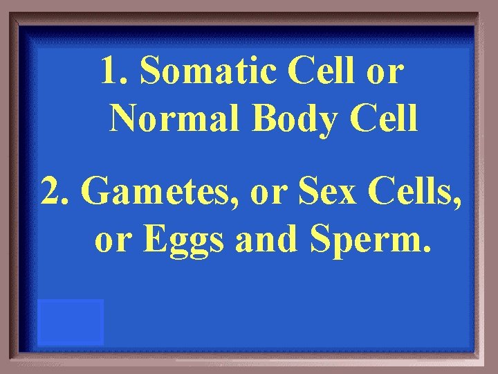 1. Somatic Cell or Normal Body Cell 2. Gametes, or Sex Cells, or Eggs