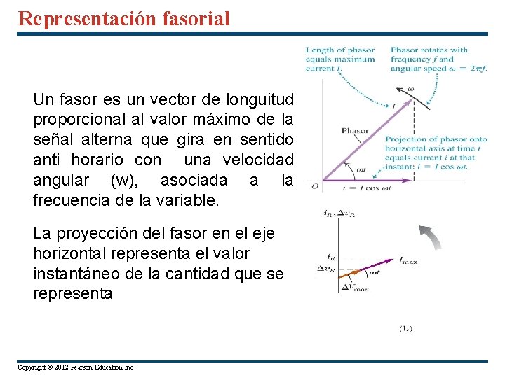 Representación fasorial Un fasor es un vector de longuitud proporcional al valor máximo de