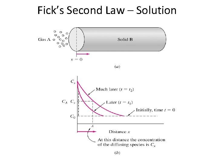 Fick’s Second Law – Solution 