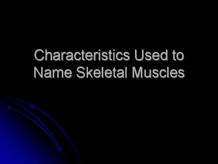 Characteristics Used to Name Skeletal Muscles 