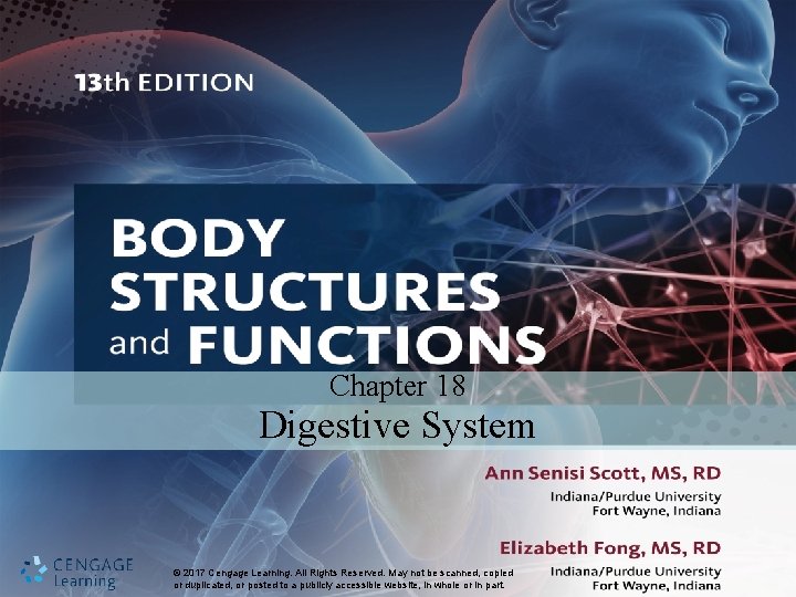 Chapter 18 Digestive System © 2017 Cengage © 2017 Learning. Cengage All. Learning. Rights