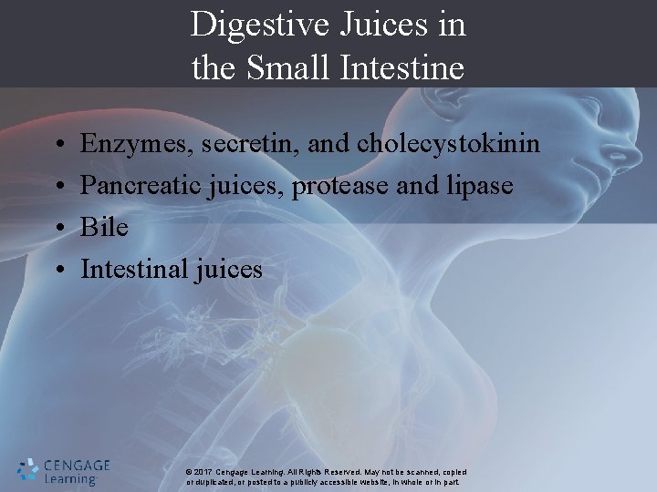 Digestive Juices in the Small Intestine • • Enzymes, secretin, and cholecystokinin Pancreatic juices,