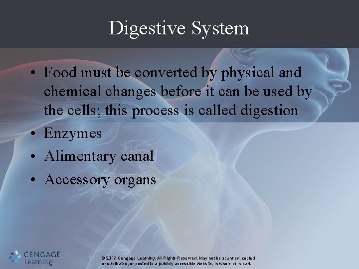 Digestive System • Food must be converted by physical and chemical changes before it
