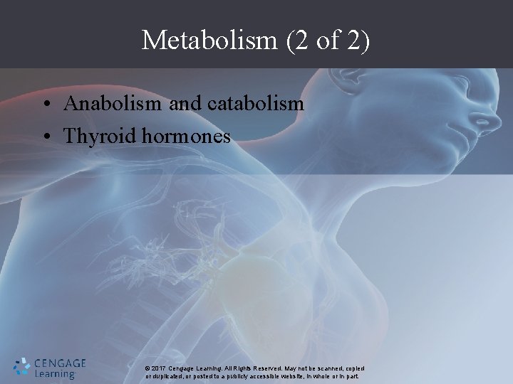 Metabolism (2 of 2) • Anabolism and catabolism • Thyroid hormones © 2017 Cengage