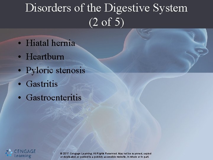 Disorders of the Digestive System (2 of 5) • • • Hiatal hernia Heartburn