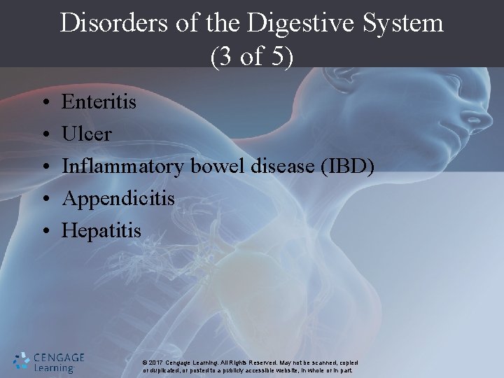 Disorders of the Digestive System (3 of 5) • • • Enteritis Ulcer Inflammatory