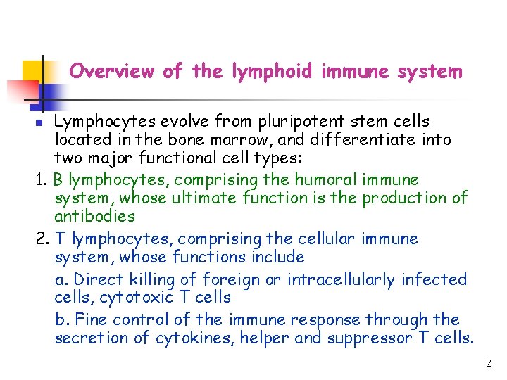 Overview of the lymphoid immune system Lymphocytes evolve from pluripotent stem cells located in