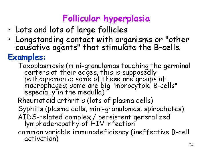 Follicular hyperplasia • Lots and lots of large follicles • Longstanding contact with organisms