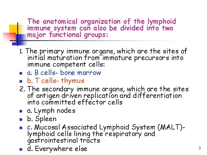 The anatomical organization of the lymphoid immune system can also be divided into two