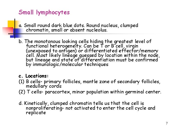 Small lymphocytes a. Small round dark blue dots. Round nucleus, clumped chromatin, small or