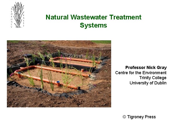 Natural Wastewater Treatment Systems Professor Nick Gray Centre for the Environment Trinity College University