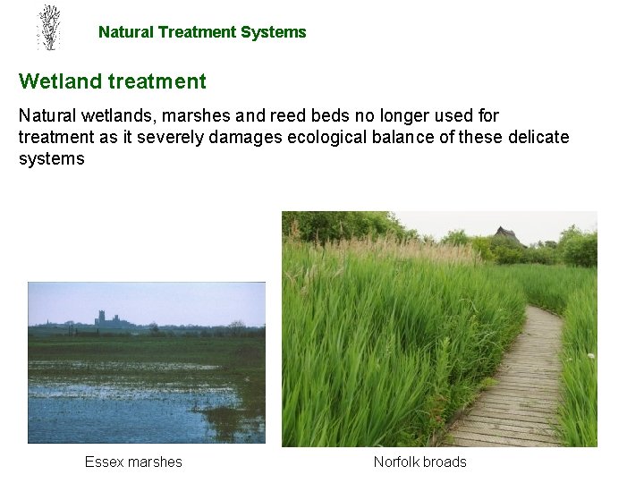 Natural Treatment Systems Wetland treatment Natural wetlands, marshes and reed beds no longer used