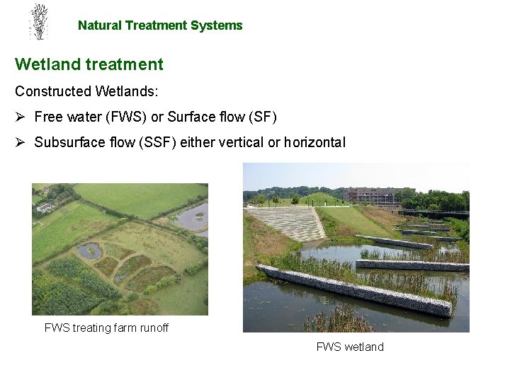 Natural Treatment Systems Wetland treatment Constructed Wetlands: Ø Free water (FWS) or Surface flow