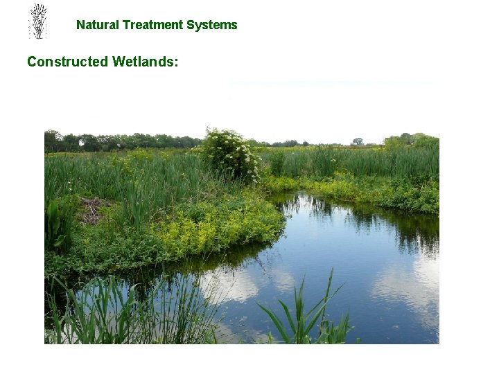 Natural Treatment Systems Constructed Wetlands: 