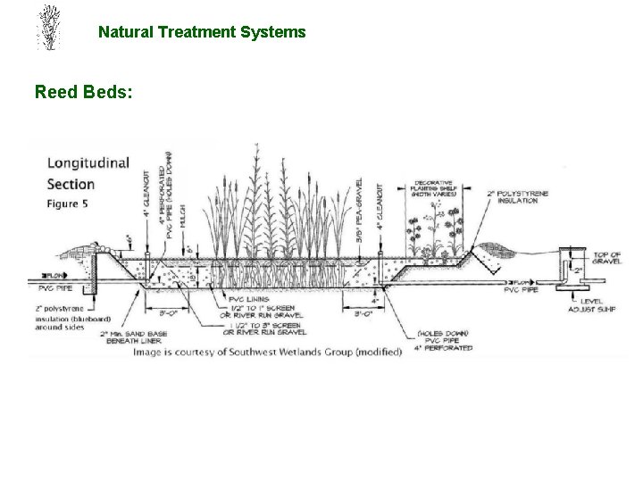 Natural Treatment Systems Reed Beds: 