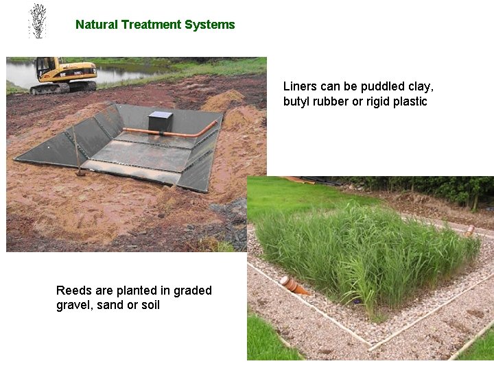 Natural Treatment Systems Liners can be puddled clay, butyl rubber or rigid plastic Reeds