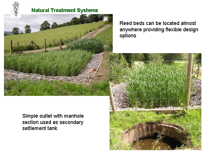 Natural Treatment Systems Reed beds can be located almost anywhere providing flexible design options