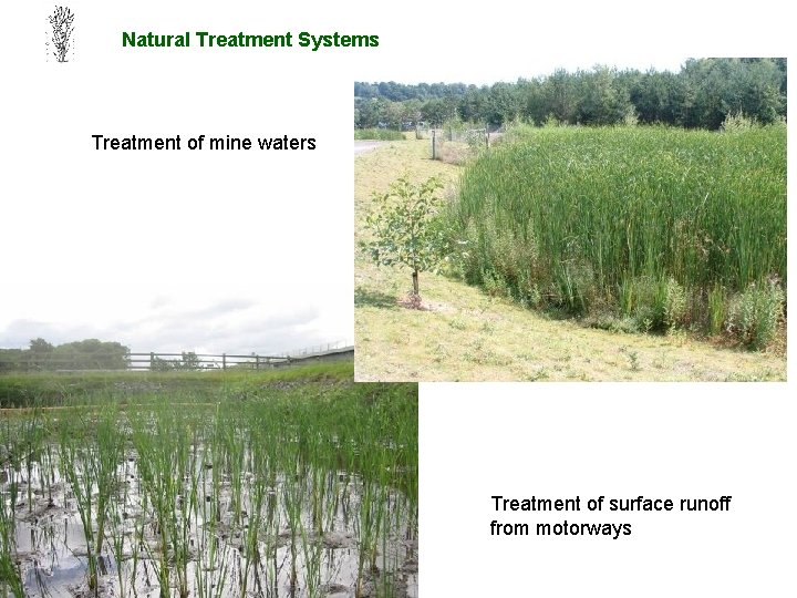 Natural Treatment Systems Treatment of mine waters Treatment of surface runoff from motorways 