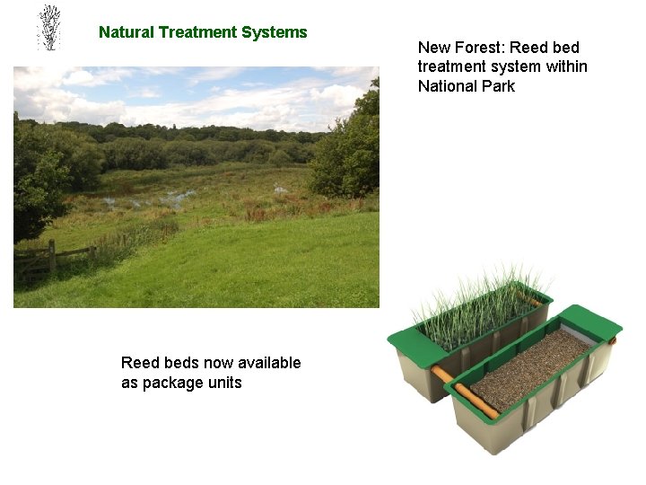 Natural Treatment Systems Reed beds now available as package units New Forest: Reed bed