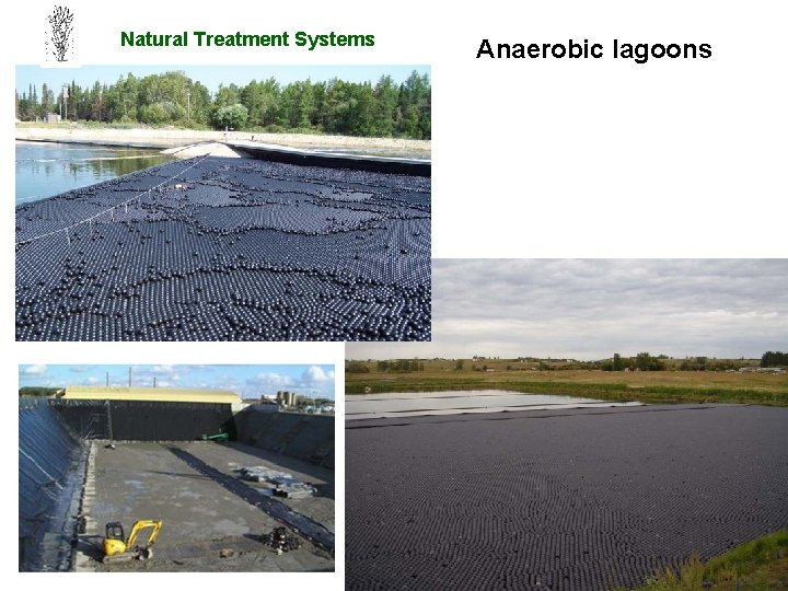 Natural Treatment Systems Anaerobic lagoons 