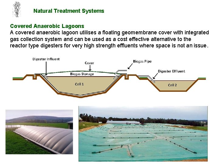 Natural Treatment Systems Covered Anaerobic Lagoons A covered anaerobic lagoon utilises a floating geomembrane