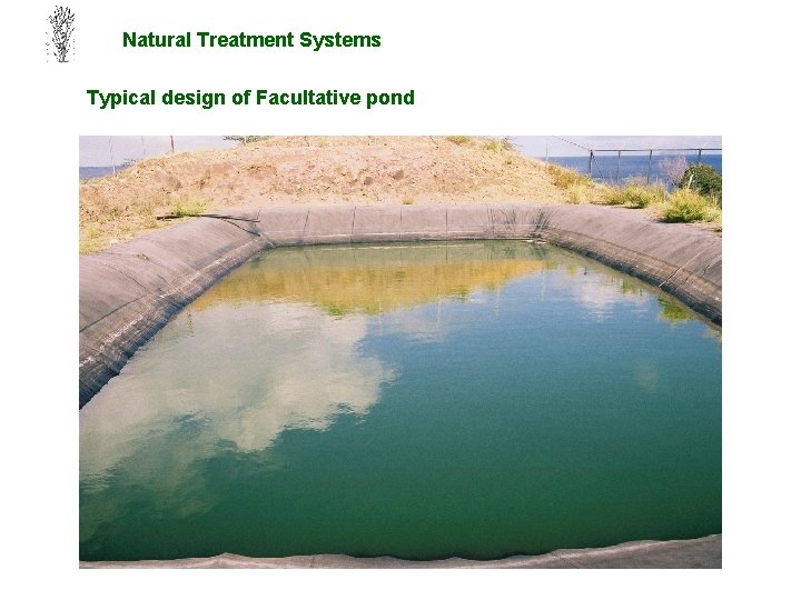 Natural Treatment Systems Typical design of Facultative pond 