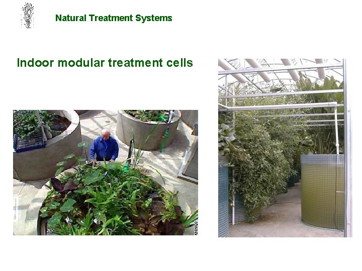 Natural Treatment Systems Indoor modular treatment cells 