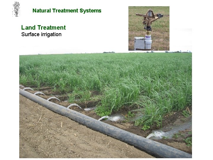 Natural Treatment Systems Land Treatment Surface irrigation 