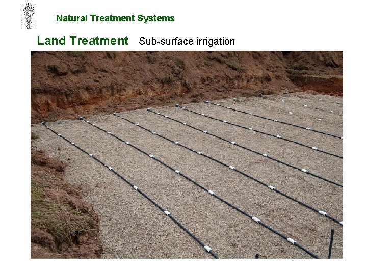 Natural Treatment Systems Land Treatment Sub-surface irrigation 