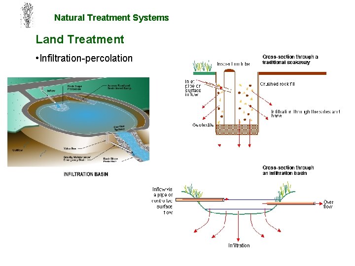 Natural Treatment Systems Land Treatment • Infiltration-percolation 