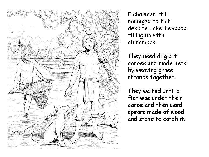 Fishermen still managed to fish despite Lake Texcoco filling up with chinampas. They used Fishermen still managed to fish despite Lake Texcoco filling up with chinampas. They used
