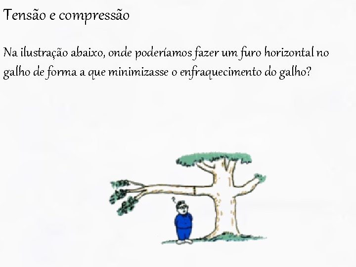 Tensão e compressão Na ilustração abaixo, onde poderíamos fazer um furo horizontal no galho