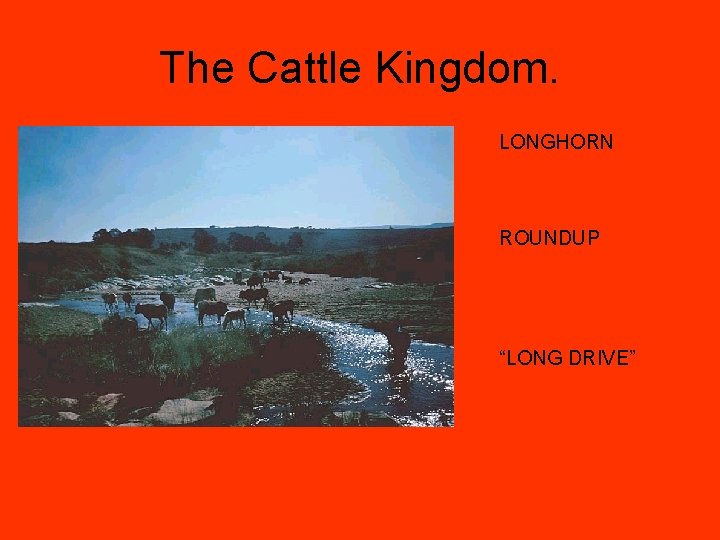 The Cattle Kingdom. LONGHORN ROUNDUP “LONG DRIVE” 