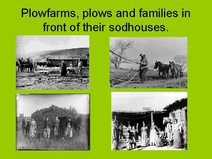 Plowfarms, plows and families in front of their sodhouses. 