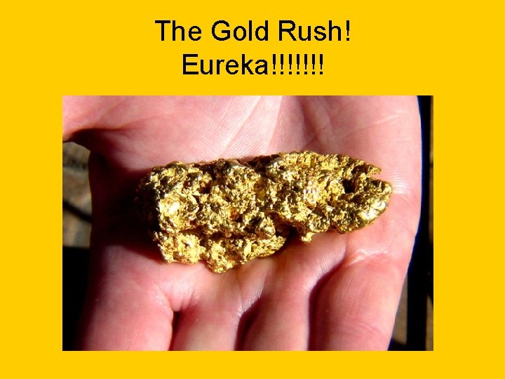 The Gold Rush! Eureka!!!!!!! 