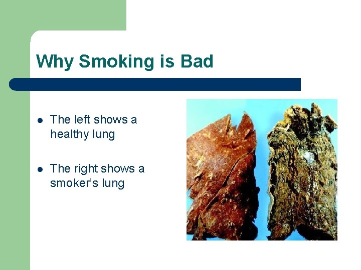 Why Smoking is Bad l The left shows a healthy lung l The right